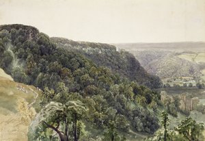 Rievaulx Abbey vanuit het westen
