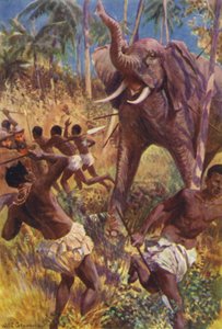 Illustratie voor The Gorilla Hunters door R M Ballantyne