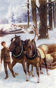 "Sommigen bezig met het vellen van bomen, anderen met paarden die de stammen slepen, geplaatst op sleeën, over de harde sneeuw"