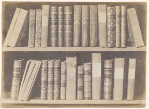 Een Scène in een Bibliotheek, plaat VIII uit de Pencil of Nature