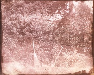 Bezem en spade, 1842 door William Henry Fox Talbot