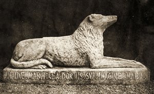 Standbeeld van Maida, naar verluidt de Favoriete Hond van Sir Walter Scott