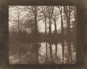 Bomen en reflecties door William Henry Fox Talbot