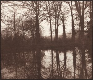 Winterbomen Weerspiegeld in een Vijver