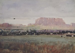 In het Plateaugebied, Colorado door William Henry Holmes