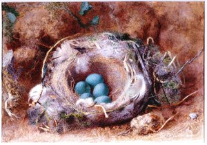 Vogelnest door William Henry Hunt