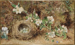  door William Henry Hunt