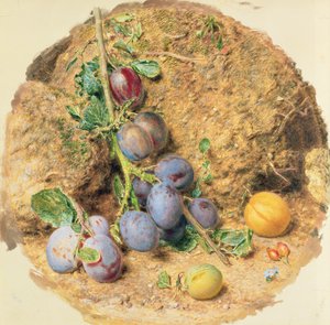 Pruimen