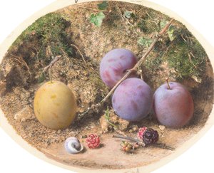 Pruimen en moerbeien