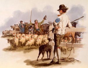 Smithfield Drover, uit 