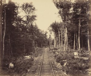 Ganoga Lake Branch,ca 1895 (foto) door William Herman Rau