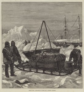 Arctisch leven, voorbereiding voor een sleetocht