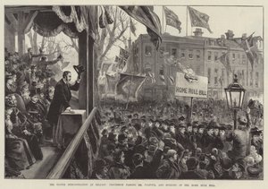 De Ulster Demonstratie in Belfast, Processie langs Mr Balfour, en verbranding van de Home Rule Bill
