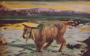 De zondebok, 1856, c. 1950 door William Holman Hunt