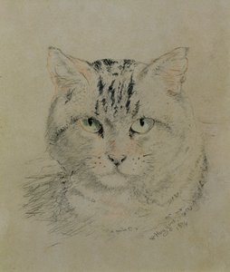 Cyperse Kat, 1874 door William Huggins