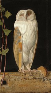 De Witte Uil: "Alleen en verwarmend zijn vijf zinnen, zit de witte uil in de klokkentoren", 1856