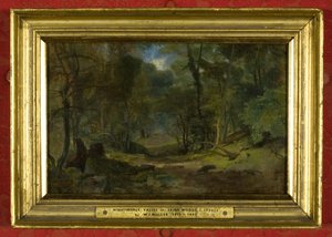 Nightingale Valley, ca.1831 door William James Muller