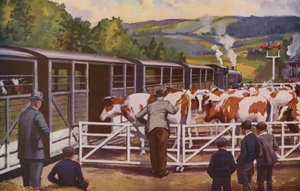 Een veetrein laadt in bij een station op het platteland (kleurenlitho) door William John Patton McDowell
