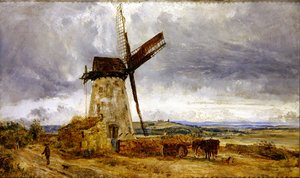 Wallasey Molen