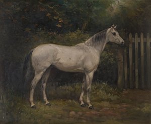 Pickles: een Basuto pony door William Josiah Redworth