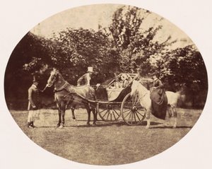 Paardenkoets en vrouwelijke ruiter