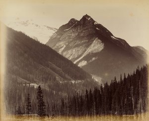Ross Peak en de Loop vanaf sneeuwschuur nr. 19 door William McFarlane Notman