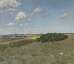 Zonlicht en Schaduw, Shinnecock Hills