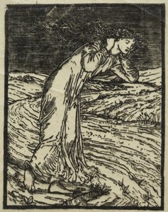  door William Morris