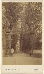Drie-eenheid Cole Avenue door William Nichols and Sons