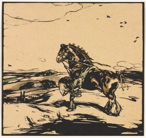 Het Shire-paard