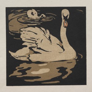 Het Vierkante Boek van Dieren: De Mooie Zwaan