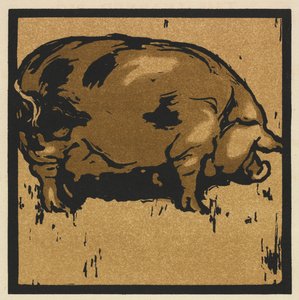 Het Vierkante Boek van Dieren: Het Geleerde Varken door William Nicholson