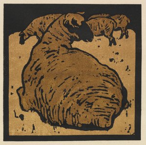 Het vierkante dierenboek: Het eenvoudige schaap