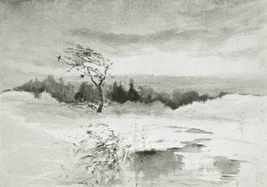 Landschap met Water en Door de Wind Gebogen Boom
