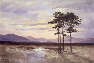 Zonsondergang, County Sligo door William Percy French