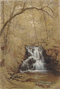 Indian Falls, Indian Brook, Cold Springs, New York door William Rickarby Miller