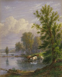 Zonder titel