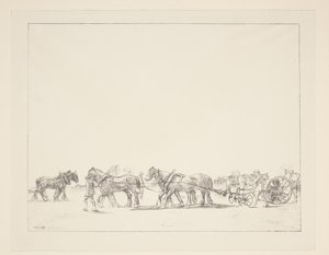 Zaaien met behulp van trekpaarden