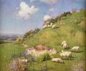 Schapen op een Heuvel