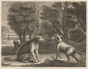 De herdershond en de wolf door William Skelton
