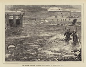De Westelijke Hooglanden, Connemara, Zalmvissen bij Lough Corrib, Galway
