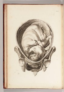 Gravure van een kind in de baarmoeder uit Een Set Anatomische Tafels, met Verklaringen, en een Samenvatting van de Praktijk van Verloskunde, 1754 door William Smellie