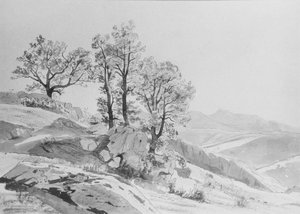  door William Stanley Haseltine