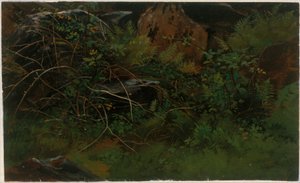  door William Stanley Haseltine