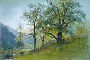 Vahrn in Tirol bij Brixen door William Stanley Haseltine