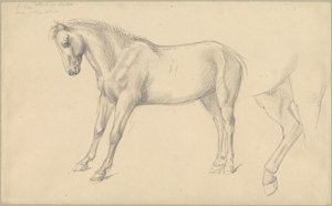 Studies van een Pony door William Strutt