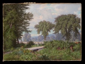 Landschap