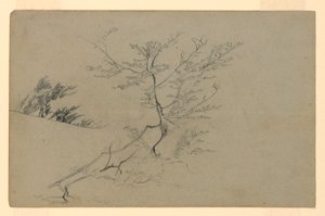 Studie van gebladerte door William Trost Richards