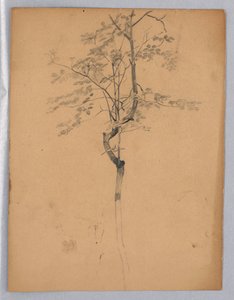 Studie van Bladeren