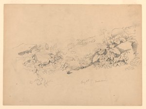 Studie van gebladerte, Trachselwald, Bern, Zwitserland door William Trost Richards